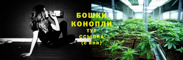 трава Заволжск