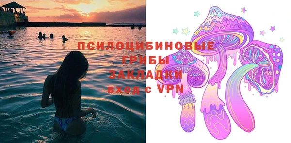 apvp Заволжье