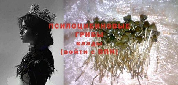 твердый Зеленокумск